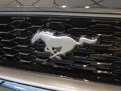 2021 Ford Mustang Mach 1