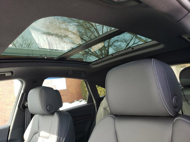 2025 Audi Q5 Sportback S line Premium Plus