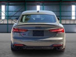 2024 Audi S5 Sportback Premium Plus